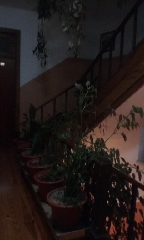 Hotel Pensao Avenida à Penacova Extérieur photo